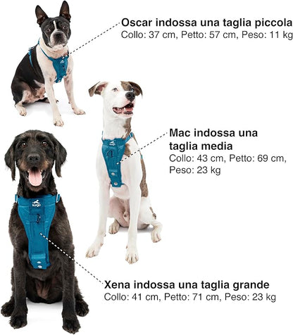 Kurgo Enhanced Strength Tru-Fit Dog Car Harness - Pet Travel Safety Harness - Crash Test Certified Fit - Five Point Adjustment - Secure Buckle - Padded Chest - Ink Blue - Large