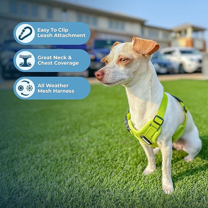 Voyager Step-in Air All Weather Mesh Harness and Reflective Dog 5 ft Leash Combo with Neoprene Handle, for Small, Medium and Large Breed Puppies by Best Pet Supplies - Set (Lime Green), XS