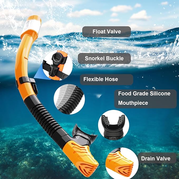 Snorkeling Gear for Adults,Dry-Top Snorkel Mask Set with Tempered Glass,Anti-Fog & Anti-Leak Panoramic Swim Mask,Adjustable Snorkel Kit with Carry Bag for Scuba Diving,Swimming,Travel