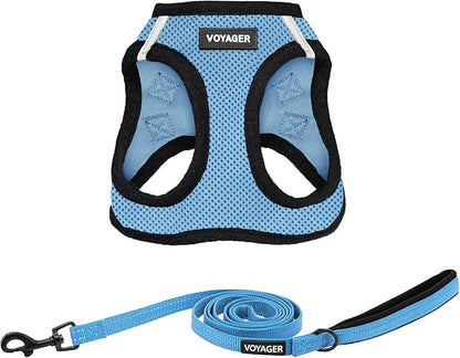 Voyager Step-in Air All Weather Mesh Harness and Reflective Dog 5 ft Leash Combo with Neoprene Handle, for Small, Medium and Large Breed Puppies by Best Pet Supplies - Baby Blue/Black Trim, Large