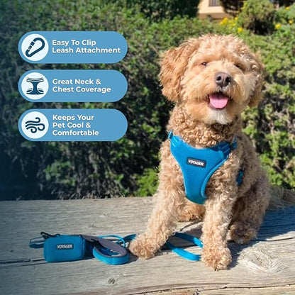 Best Pet Supplies Voyager Mesh Dog Breathable Harness Reflective Stitching, All Weather Adjustable for Walking Training, or Running - Heavy Duty & Durable, Harness (Turquoise), XS