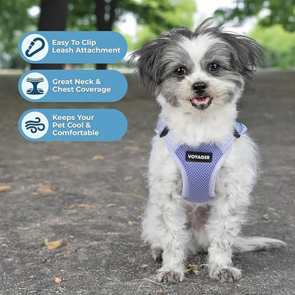 Best Pet Supplies Voyager Mesh Dog Breathable Harness Reflective Stitching, All Weather Adjustable for Walking Training, or Running - Heavy Duty & Durable, Harness (Lavender), XS