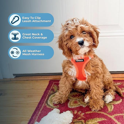 Voyager Step-in Air All Weather Mesh Harness and Reflective Dog 5 ft Leash Combo with Neoprene Handle, for Small, Medium and Large Breed Puppies by Best Pet Supplies - Harness Leash Set (Orange), M