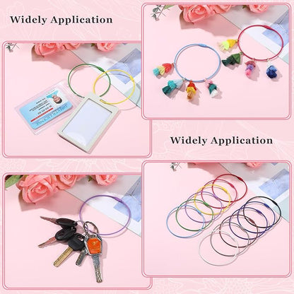 Sasylvia Wire Keychain Cable Stainless Steel Cable Key Ring Colored Keychain Loop Screw Lock Hanging Luggage ID Tag Key Doll