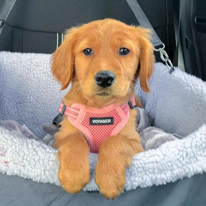 Best Pet Supplies Voyager Mesh Dog Breathable Harness Reflective Stitching, All Weather Adjustable for Walking Training, or Running - Heavy Duty & Durable, Harness Leash Set (Pink), M