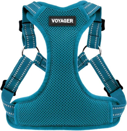 Best Pet Supplies Voyager Mesh Dog Breathable Harness Reflective Stitching, All Weather Adjustable for Walking Training, or Running - Heavy Duty & Durable, Harness (Turquoise), L