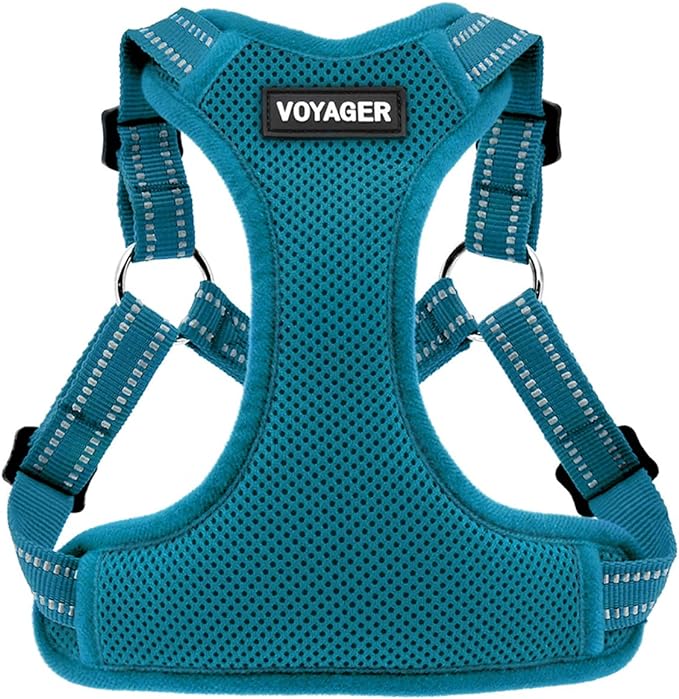 Best Pet Supplies Voyager Mesh Dog Breathable Harness Reflective Stitching, All Weather Adjustable for Walking Training, or Running - Heavy Duty & Durable, Harness (Turquoise), XS