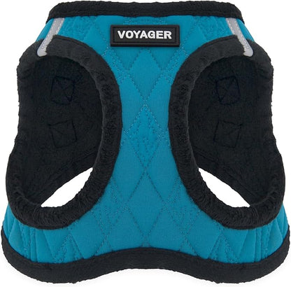 Best Pet Supplies - All Weather Mesh/Plush, Reflective, No Pull Harness for Small, Medium Dogs, Cats - Secure with Hook & Loop Fastener, Buckle, Double D-Rings - Turquoise Plush, XS