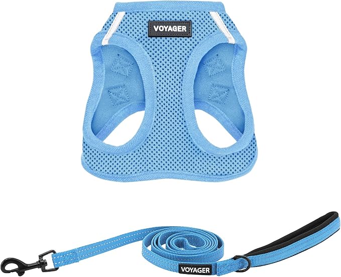 Voyager Step-in Air All Weather Mesh Harness and Reflective Dog 5 ft Leash Combo with Neoprene Handle, for Small, Medium and Large Breed Puppies by Best Pet Supplies - Set (Baby Blue), XL