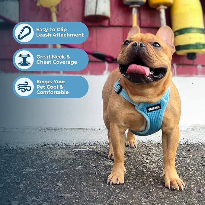 Best Pet Supplies Voyager Mesh Dog Breathable Harness Reflective Stitching, All Weather Adjustable for Walking Training, or Running - Heavy Duty & Durable, Harness Leash Set (Baby Blue), XS
