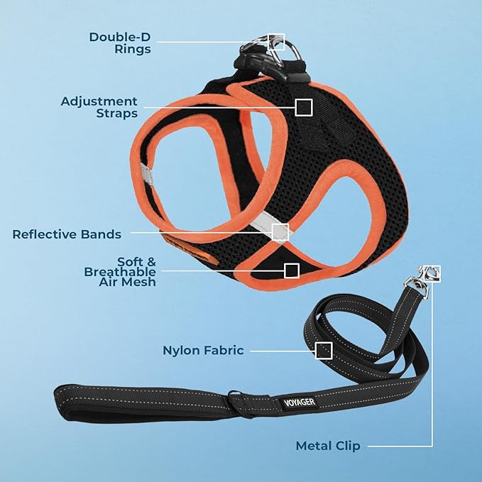 Voyager Step-in Air All Weather Mesh Harness and Reflective Dog 5 ft Leash Combo with Neoprene Handle, for Small, Medium and Large Breed Puppies by Best Pet Supplies - Black/Orange Trim, X-Small