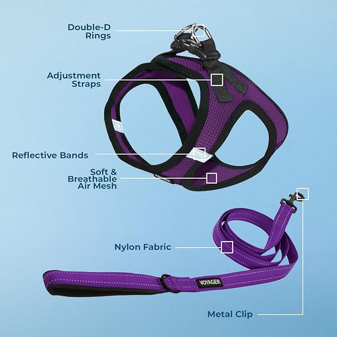 Voyager Step-in Air All Weather Mesh Harness and Reflective Dog 5 ft Leash Combo with Neoprene Handle, for Small, Medium and Large Breed Puppies by Best Pet Supplies - Purple/Black Trim, Large