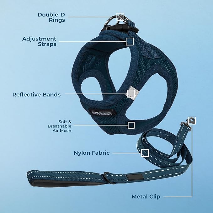 Voyager Step-in Air All Weather Mesh Harness and Reflective Dog 5 ft Leash Combo with Neoprene Handle, for Small, Medium and Large Breed Puppies by Best Pet Supplies - Set (Blue), XS