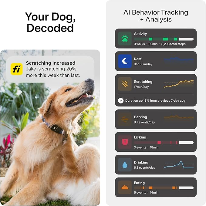 New Fi Series 3+ Smart Dog Tracker Collar [12 Month Membership Included] GPS Tracker for Dogs with Health & Behavior Monitoring, Escape Alerts, Waterproof, LED, Apple Watch Compatible (Gray, Large)