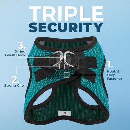 Voyager Step-in Air Dog Harness - All Weather Mesh, Reflective, No Pull Harness for Small, Medium Dogs, Cats - Secure with Hook & Loop Fastener, Buckle, Double D-Rings - Turquoise 2-Tone, XS