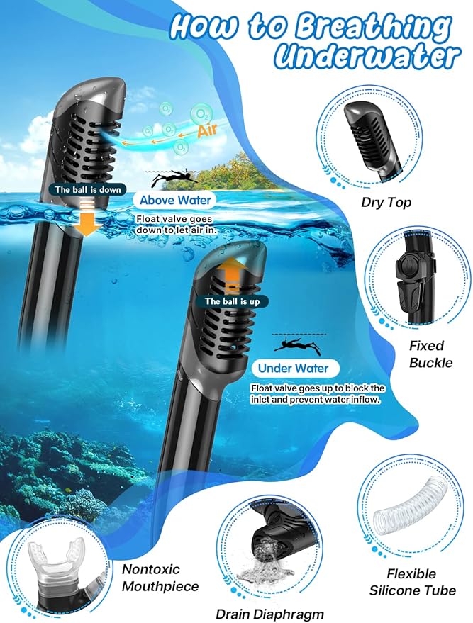Zenoplige Mask Fins Snorkel Set, Snorkeling Gear for Adults, Panoramic View Snorkel Mask Anti-Fog, Adjustable Dive Flippers, Dry Top Snorkel and Travel Bag, Scuba Gear for Swimming Snorkeling Diving