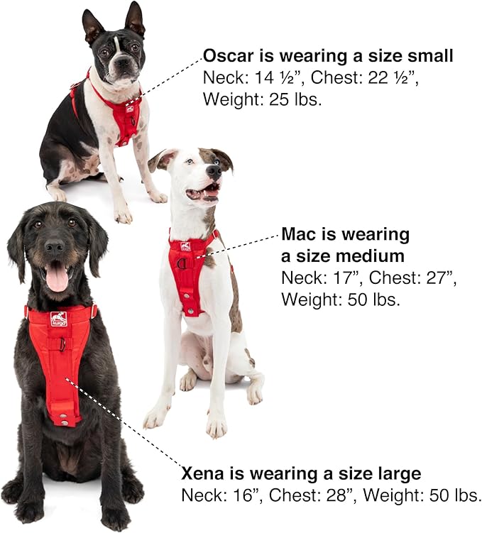 Kurgo Enhanced Strength Tru-Fit Dog Car Harness - Pet Travel Safety Harness - Crash Test Certified Fit - Five Point Adjustment - Secure Buckle - Padded Chest - Ink Blue - Medium