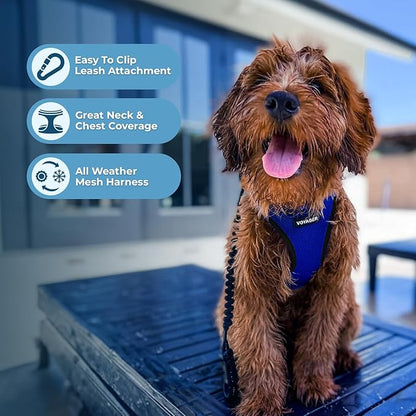 Best Pet Supplies Voyager Step-in Air Harness - All Weather Mesh, Reflective, No Pull Harness for Dogs, Cats - Secure with Hook & Loop Fastener, Buckle, Double D-Rings - Royal Blue/Black Trim, M