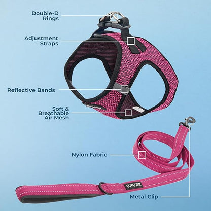 Voyager Step-in Air All Weather Mesh Harness and Reflective Dog 5 ft Leash Combo with Neoprene Handle, for Small, Medium and Large Breed Puppies by Best Pet Supplies - Fuchsia (2-Tone), S
