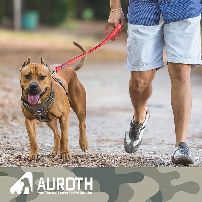AUROTH Heavy Duty Bungee Dog Leash for Large Breeds - 6FT with 2 Padded Handles, Shock Absorption, No Pull Training, Red