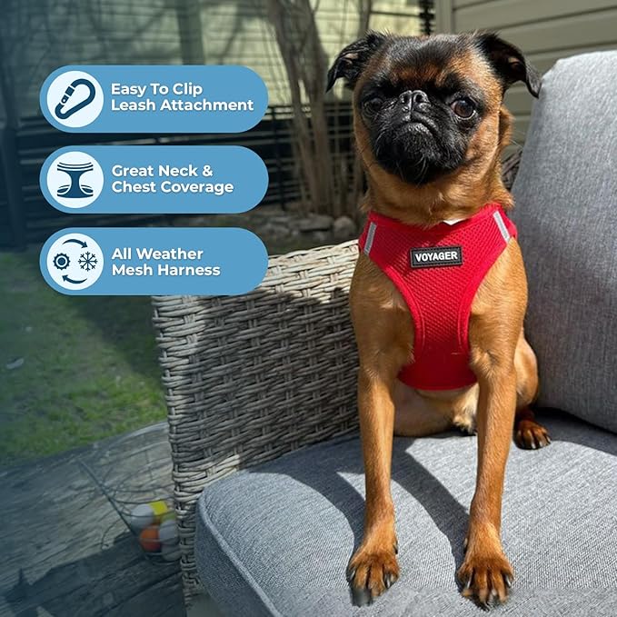 Best Pet Supplies Voyager Step-in Air Harness - All Weather Mesh, Reflective, No Pull Harness for Dogs, Cats - Secure with Hook & Loop Fastener, Buckle, Double D-Rings - Red, XS