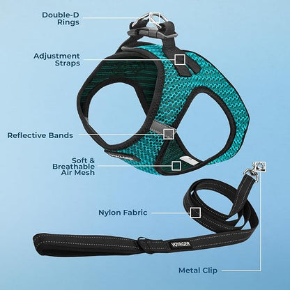 Voyager Step-in Air All Weather Mesh Harness and Reflective Dog 5 ft Leash Combo with Neoprene Handle, for Small, Medium and Large Breed Puppies by Best Pet Supplies - Turquoise (2-Tone), XS