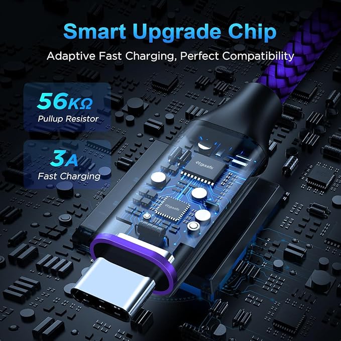 etguuds USB to USB C Cable 1ft, 2-Pack USB A to Type C Charger Cord Fast Charging for Samsung Galaxy A17 A16 A15 A26 A36 A56, S25 S24 S23 S22 S21 S20 S10 Note 20, for iPhone 17 16 15, Moto, Purple