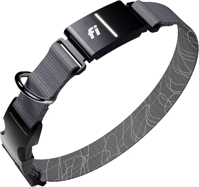 New Fi Series 3+ Smart Dog Tracker Collar [12 Month Membership Included] GPS Tracker for Dogs with Health & Behavior Monitoring, Escape Alerts, Waterproof, LED, Apple Watch Compatible (Gray, Medium)