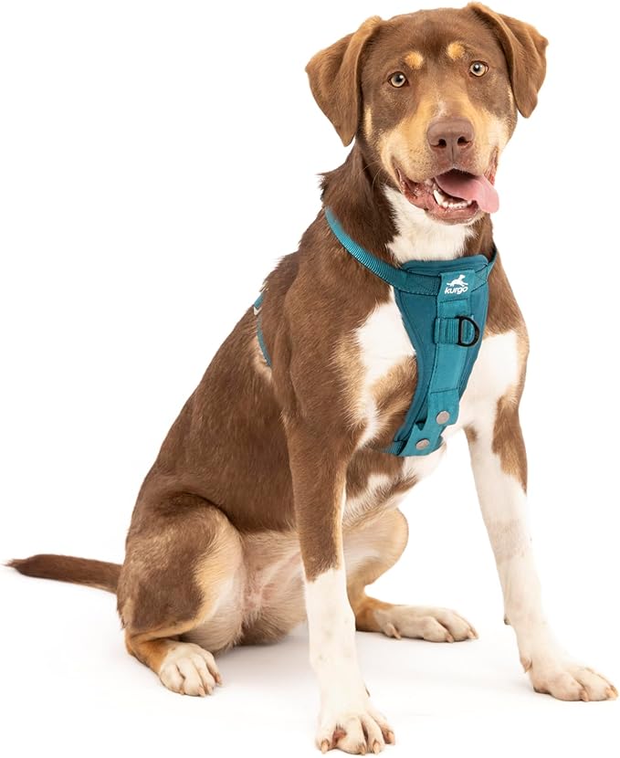 Kurgo Enhanced Strength Tru-Fit Dog Car Harness - Pet Travel Safety Harness - Crash Test Certified Fit - Five Point Adjustment - Secure Buckle - Padded Chest - Ink Blue - Medium