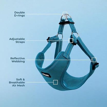 Best Pet Supplies Voyager Mesh Dog Breathable Harness Reflective Stitching, All Weather Adjustable for Walking Training, or Running - Heavy Duty & Durable, Harness (Turquoise), M