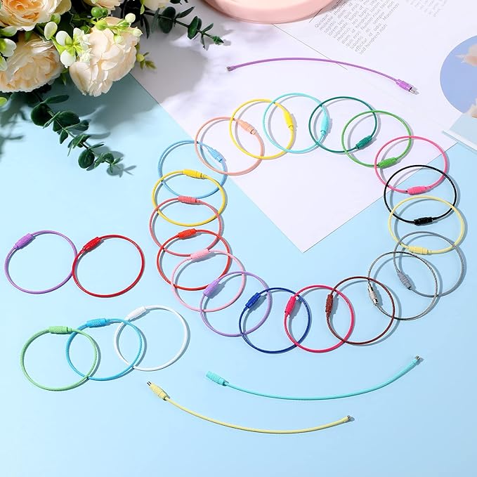 Sasylvia Wire Keychain Cable Stainless Steel Cable Key Ring Colored Keychain Loop Screw Lock Hanging Luggage ID Tag Key Doll