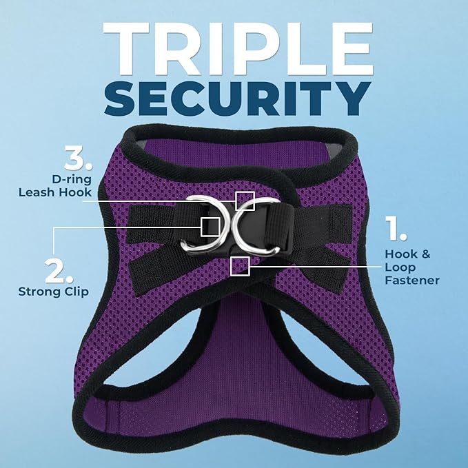 Voyager Step-in Air All Weather Mesh Harness and Reflective Dog 5 ft Leash Combo with Neoprene Handle, for Small, Medium and Large Breed Puppies by Best Pet Supplies - Purple/Black Trim, XXX-Small