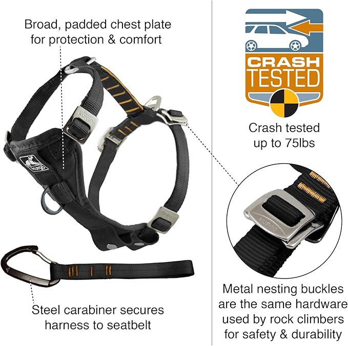 Kurgo Enhanced Strength Tru-Fit Dog Car Harness - Pet Travel Safety Harness - Crash Test Certified Fit - Five Point Adjustment - Secure Buckle - Padded Chest - Deep Violet - Small