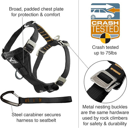 Kurgo Enhanced Strength Tru-Fit Dog Car Harness - Pet Travel Safety Harness - Crash Test Certified Fit - Five Point Adjustment - Secure Buckle - Padded Chest - Deep Violet - Small