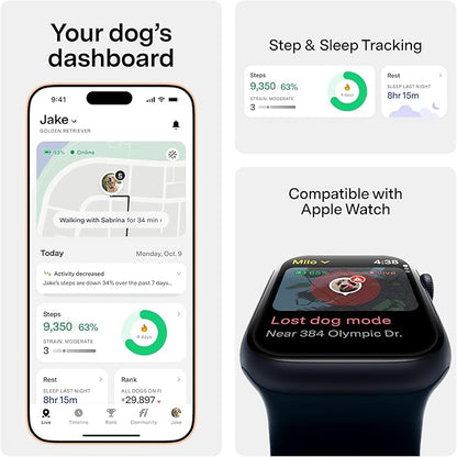 New Fi Series 3+ Smart Dog Tracker Collar [6 Month Membership Included] GPS Tracker for Dogs with Health & Behavior Monitoring, Escape Alerts, Waterproof, LED, Apple Watch Compatible (Gray, X-Small)