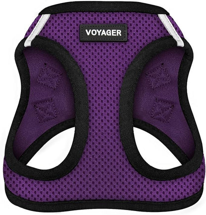Best Pet Supplies Voyager Step-in Air Harness - All Weather Mesh, Reflective, No Pull Harness for Dogs, Cats - Secure with Hook & Loop Fastener, Buckle, Double D-Rings - Purple/Black Trim, L