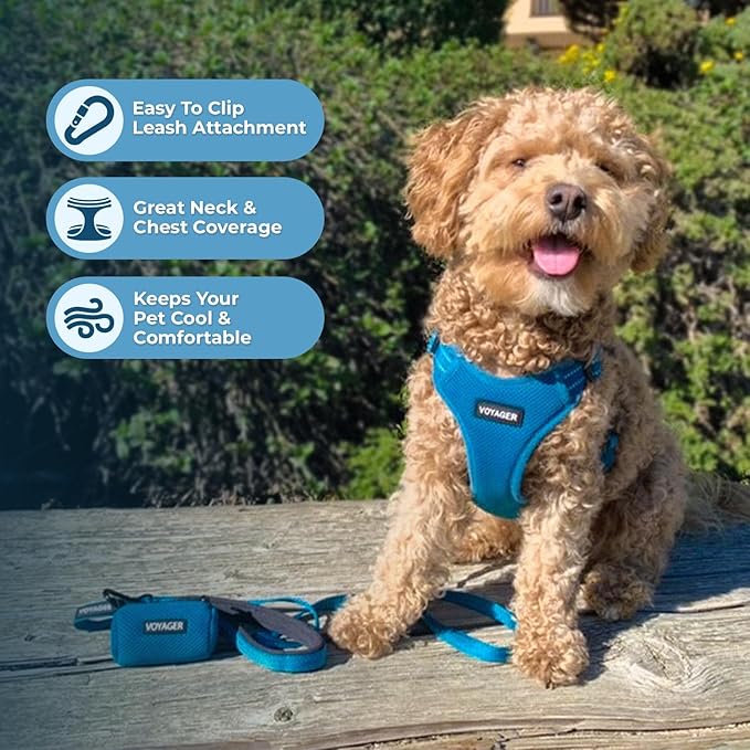 Best Pet Supplies Voyager Mesh Dog Breathable Harness Reflective Stitching, All Weather Adjustable for Walking Training, or Running - Heavy Duty & Durable, Harness Leash Set (Turquoise), M