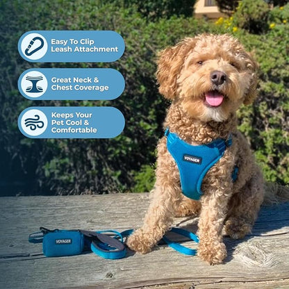 Best Pet Supplies Voyager Mesh Dog Breathable Harness Reflective Stitching, All Weather Adjustable for Walking Training, or Running - Heavy Duty & Durable, Harness Leash Set (Turquoise), M