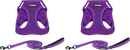 Voyager Step-in Air All Weather Mesh Harness and Reflective Dog 5 ft Leash Combo with Neoprene Handle, for Small, Medium and Large Breed Puppies and Cats by Best Pet Supplies - Purple, XXXS
