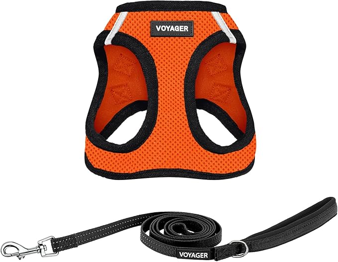 Voyager Step-in Air All Weather Mesh Harness and Reflective Dog 5 ft Leash Combo with Neoprene Handle, for Small, Medium and Large Breed Puppies by Best Pet Supplies - Orange/Black Trim, X-Small