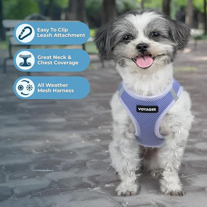 Best Pet Supplies Voyager Step-in Air Harness - All Weather Mesh, Reflective, No Pull Harness for Dogs, Cats - Secure with Hook & Loop Fastener, Buckle, Double D-Rings - Lavender, S