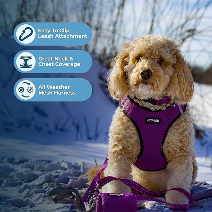 Voyager Step-in Air All Weather Mesh Harness and Reflective Dog 5 ft Leash Combo with Neoprene Handle, for Small, Medium and Large Breed Puppies by Best Pet Supplies - Purple/Black Trim, Medium