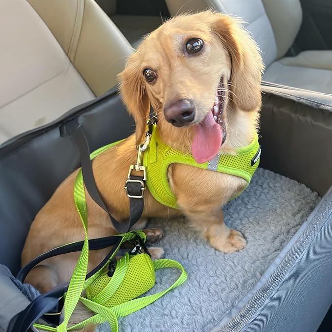 Best Pet Supplies Voyager Step-in Air Harness - All Weather Mesh, Reflective, No Pull Harness for Dogs, Cats - Secure with Hook & Loop Fastener, Buckle, Double D-Rings - Lime Green, S