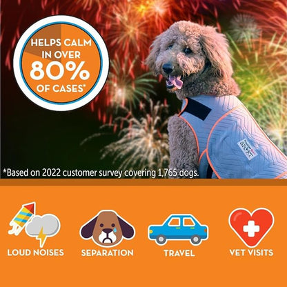 ThunderShirt for Dogs, Medium, Platinum Sport - Dog Anxiety Relief Calming Vest