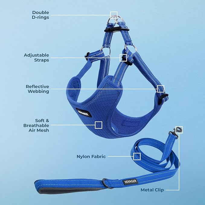 Best Pet Supplies Voyager Mesh Dog Breathable Harness Reflective Stitching, All Weather Adjustable for Walking Training, or Running - Heavy Duty & Durable, Harness Leash Set (Royal Blue), XS