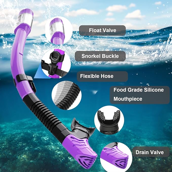 Snorkeling Gear for Adults,Dry-Top Snorkel Mask Set with Tempered Glass,Anti-Fog & Anti-Leak Panoramic Swim Mask,Adjustable Snorkel Kit with Carry Bag for Scuba Diving,Swimming,Travel