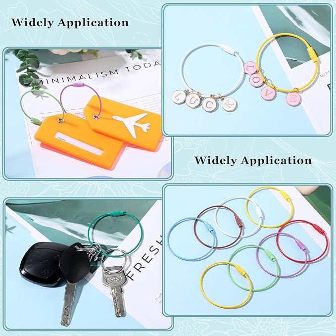 Sasylvia Wire Keychain Cable Stainless Steel Cable Key Ring Colored Keychain Loop Screw Lock Hanging Luggage ID Tag Key Doll