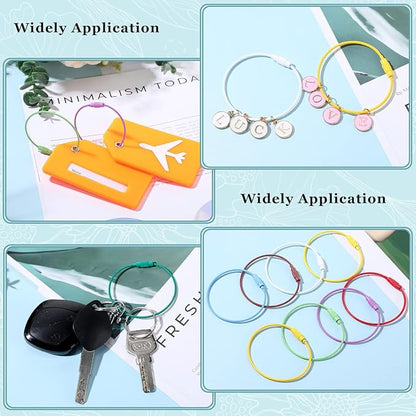Sasylvia Wire Keychain Cable Stainless Steel Cable Key Ring Colored Keychain Loop Screw Lock Hanging Luggage ID Tag Key Doll
