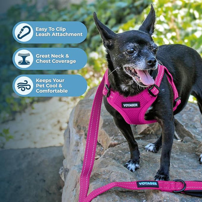 Best Pet Supplies Voyager Mesh Dog Breathable Harness Reflective Stitching, All Weather Adjustable for Walking Training, or Running - Heavy Duty & Durable, Harness Leash Set (Fuchsia), XL