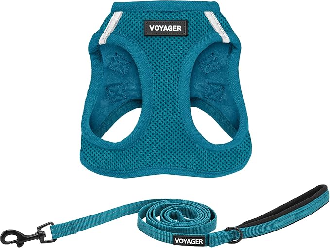 Voyager Step-in Air All Weather Mesh Harness and Reflective Dog 5 ft Leash Combo with Neoprene Handle, for Small, Medium and Large Breed Puppies by Best Pet Supplies - Set (Turquoise), XS